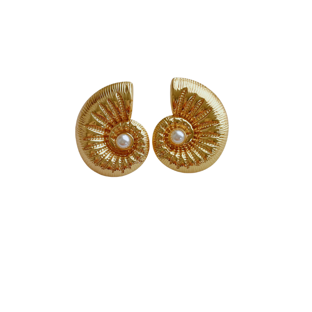 HOOP CORAL