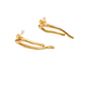 ARETES VERAS