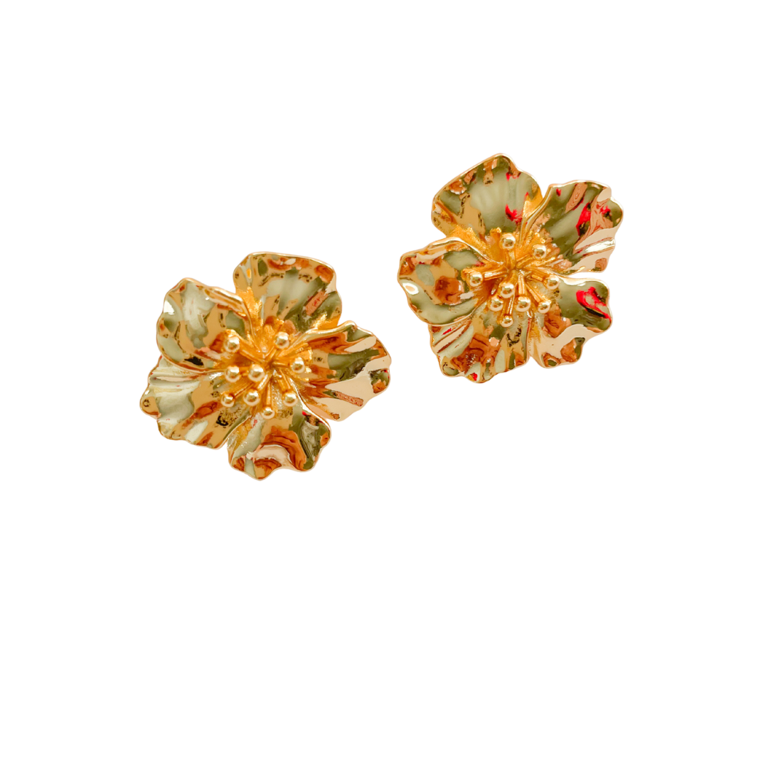 ARETES LIS